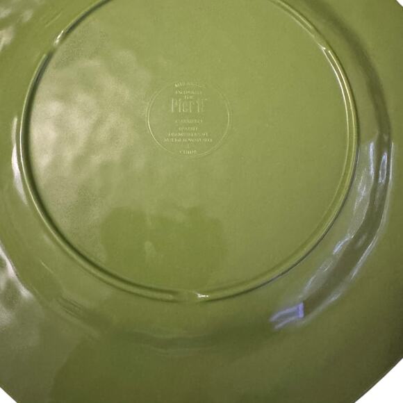 Pier 1 “Carmelo” Rustic Green Salad Plate Melamine Set of 4 - Picture 3 of 3